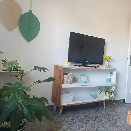 Bonito Y Coqueto Cordoue