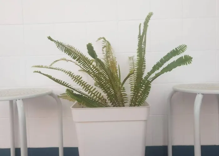 Bonito Y Coqueto Apartman Córdoba