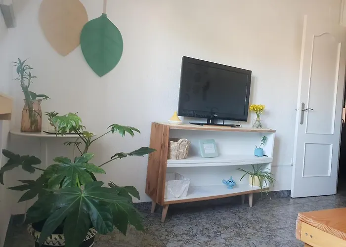 Bonito Y Coqueto Córdoba