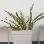 Bonito Y Coqueto Apartmán Córdoba