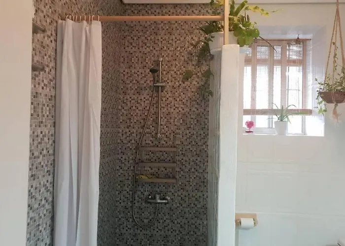 Bonito Y Coqueto 科爾多瓦