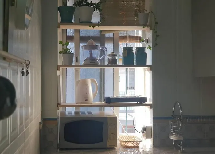 Bonito Y Coqueto 科爾多瓦